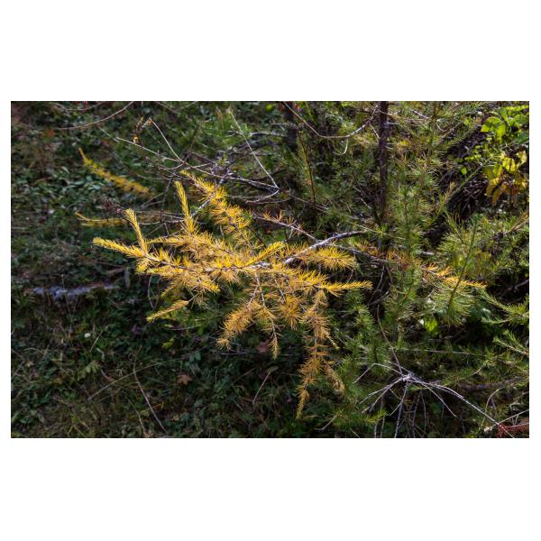 PHOTO84, CLUB, 84 , LUBERON